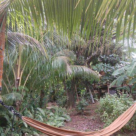 Villa Shuit Bambou Trinite  Exterior foto